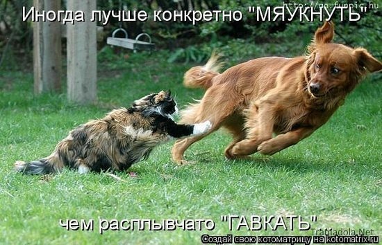 http://cs10283.vkontakte.ru/u17245529/77129404/x_750b101f.jpg